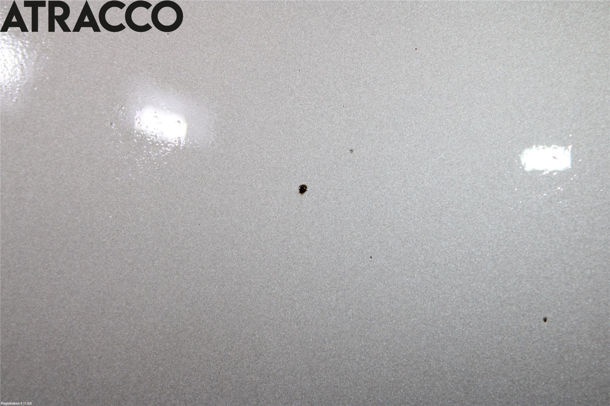 Volkswagen VW TRANSP/CARAVELLE (T5) 04-15 Panser