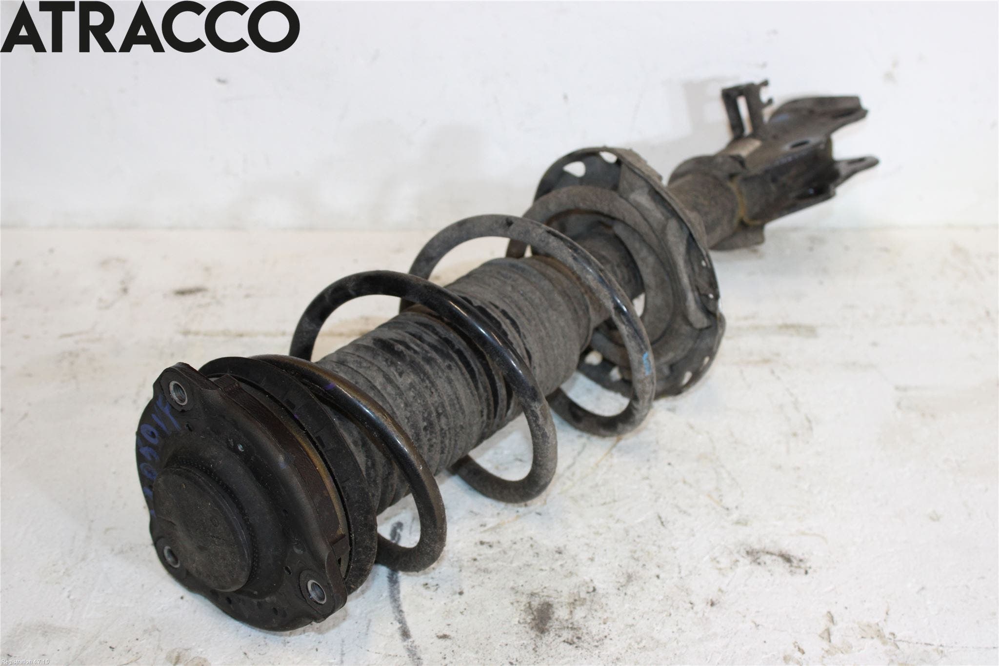 MG 4 23- Fjærbein Foran Venstre