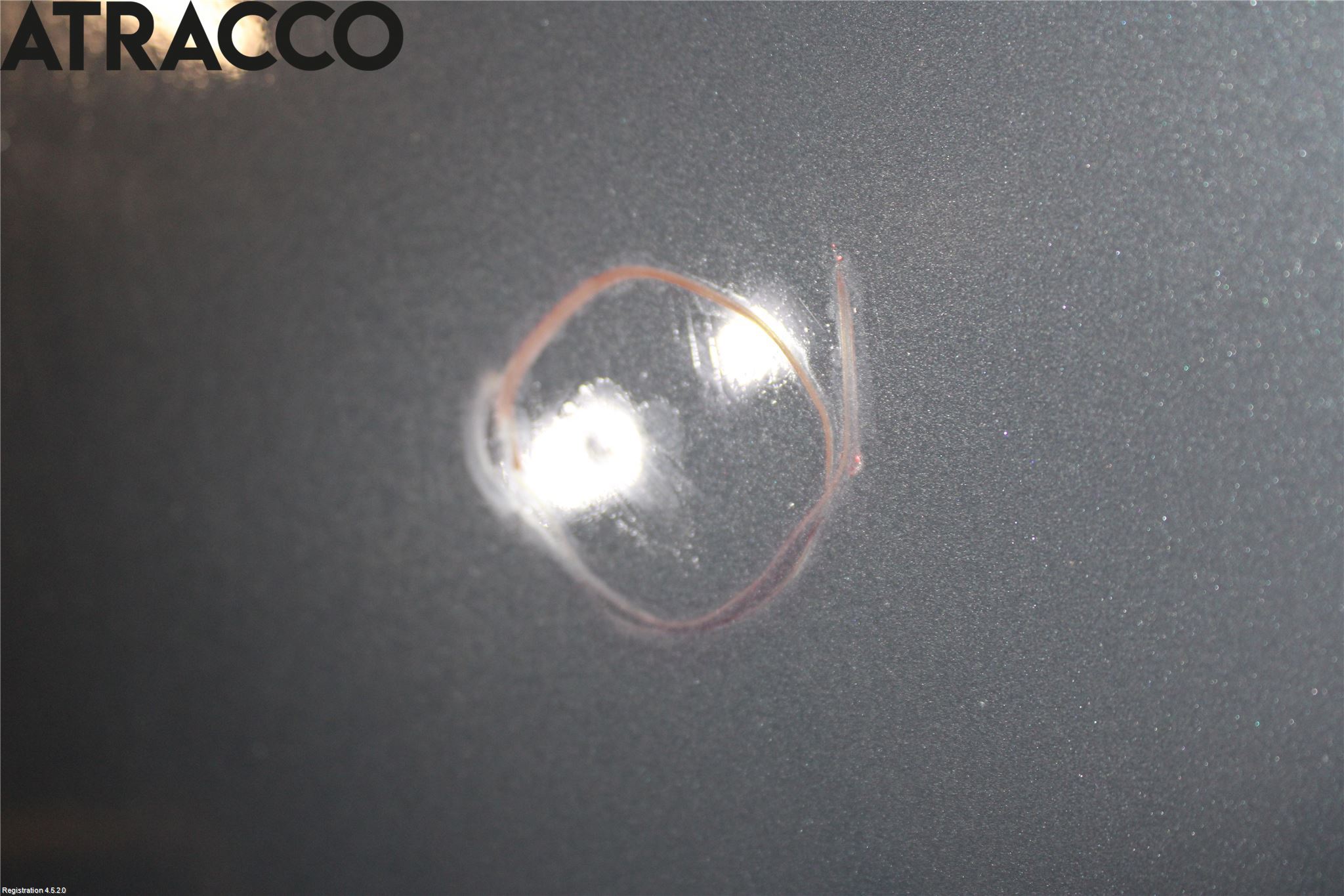 Volvo V60 14-18 Panser