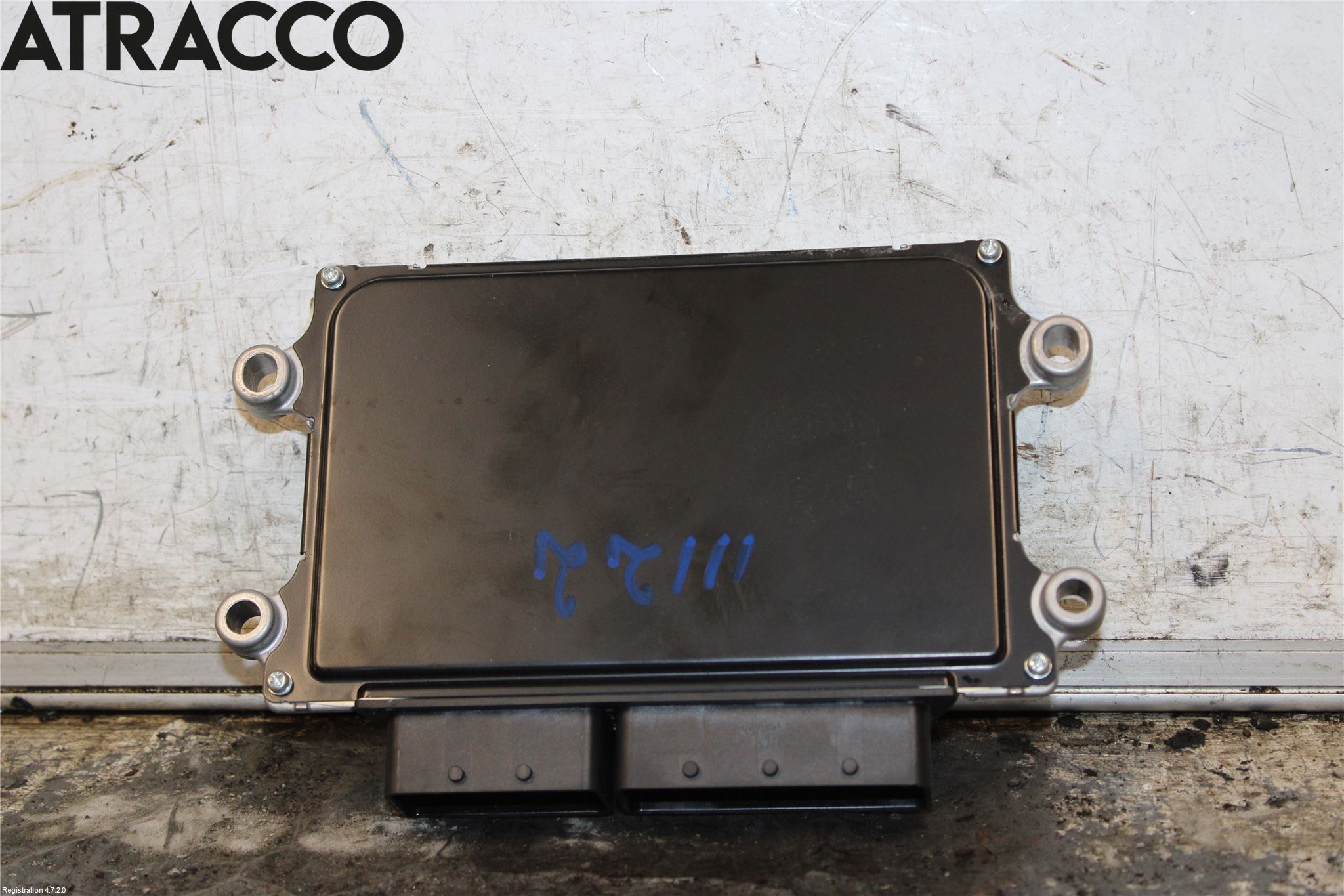 Nissan LEAF 18- Styreenhet Innsprøytning