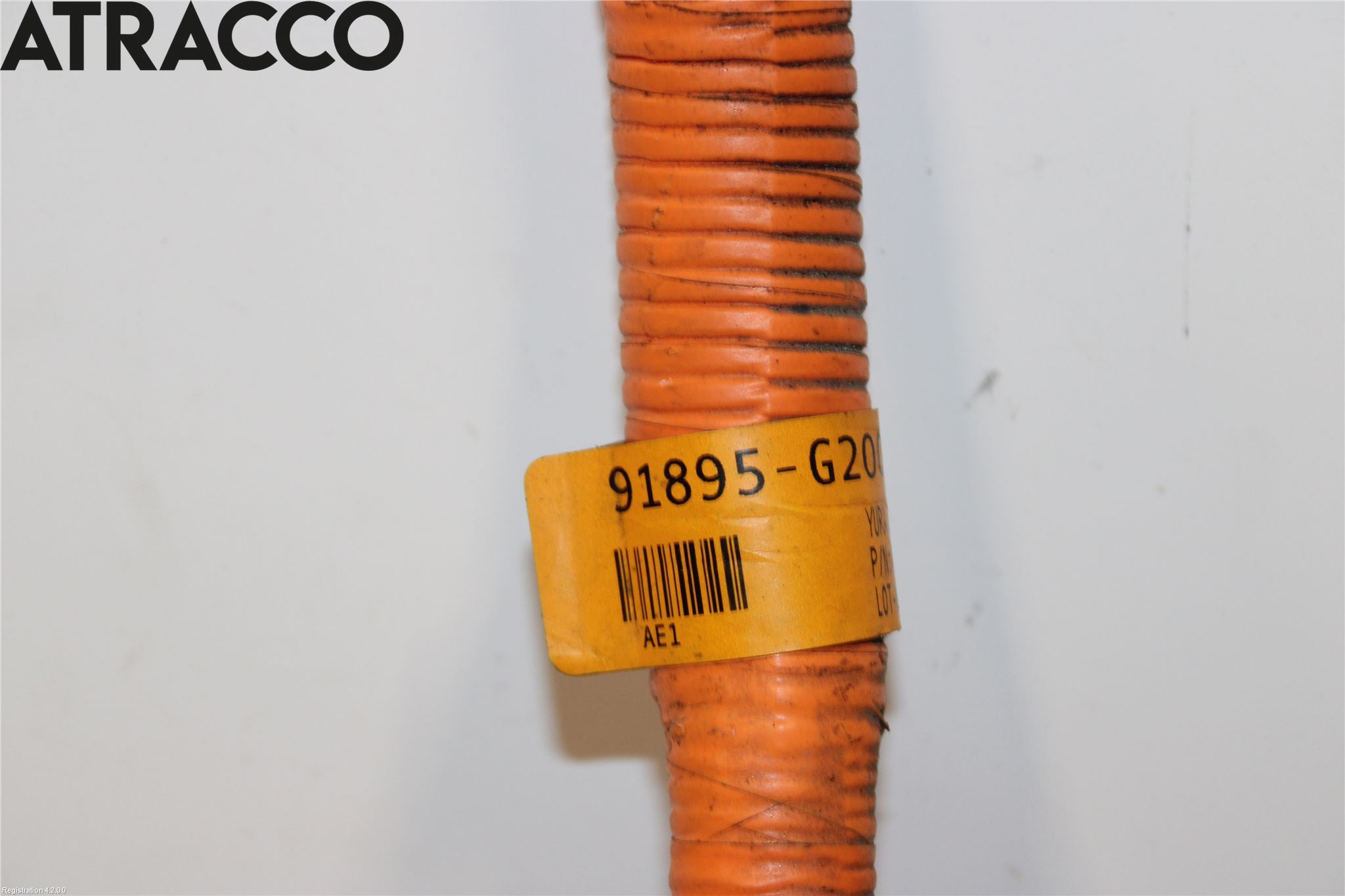 Hyundai IONIQ AE 17-22 Ledningsnett