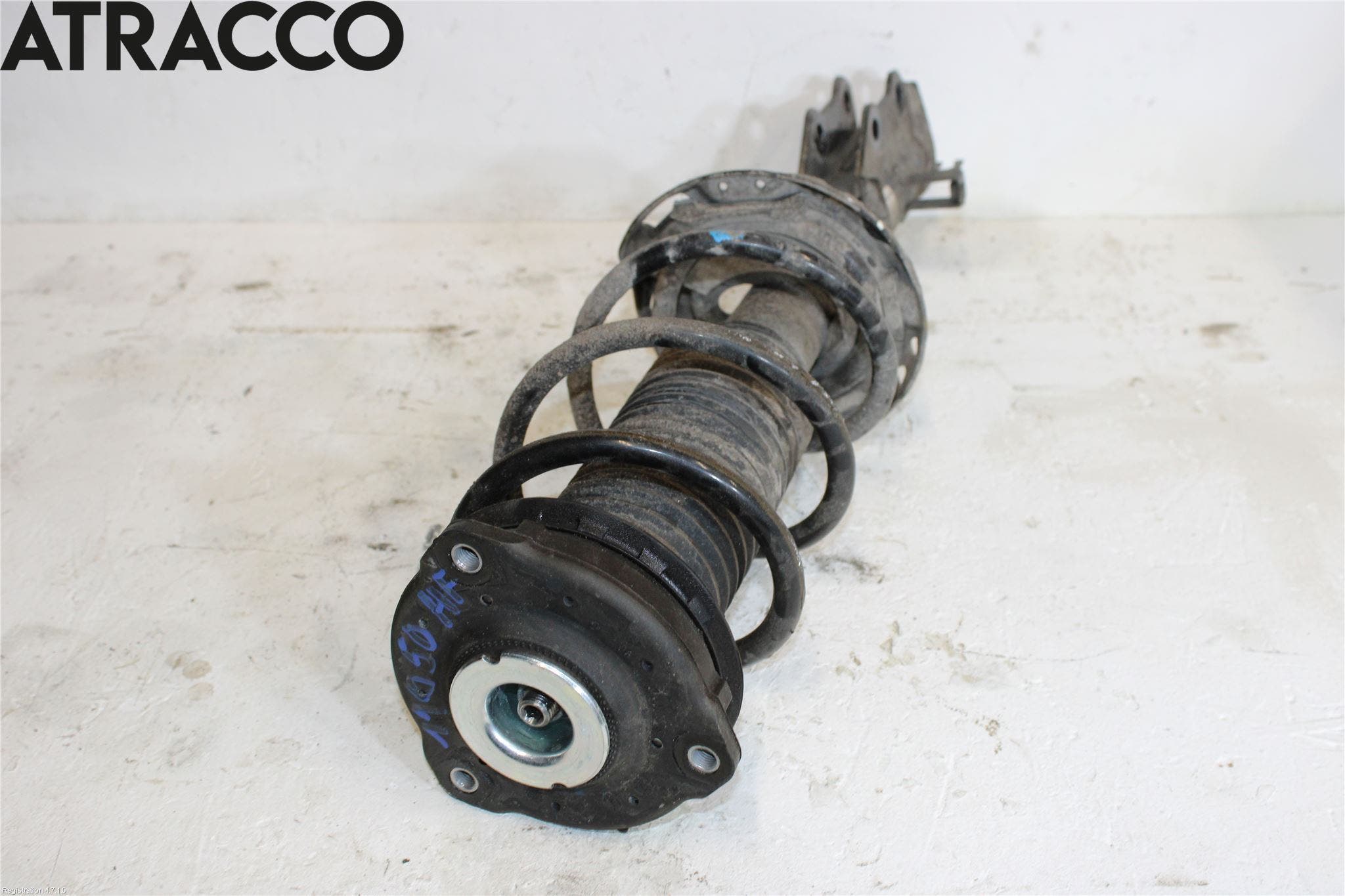 MG 4 23- Fjærbein Foran Høyre