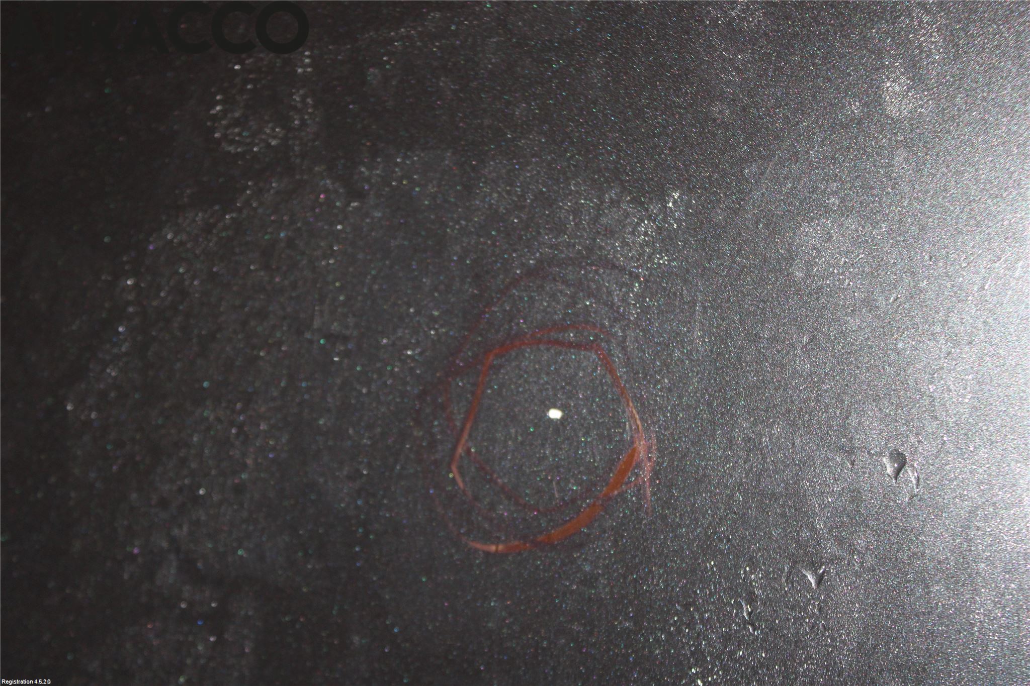 BMW 5 F10/F11/F18 09-17 Panser