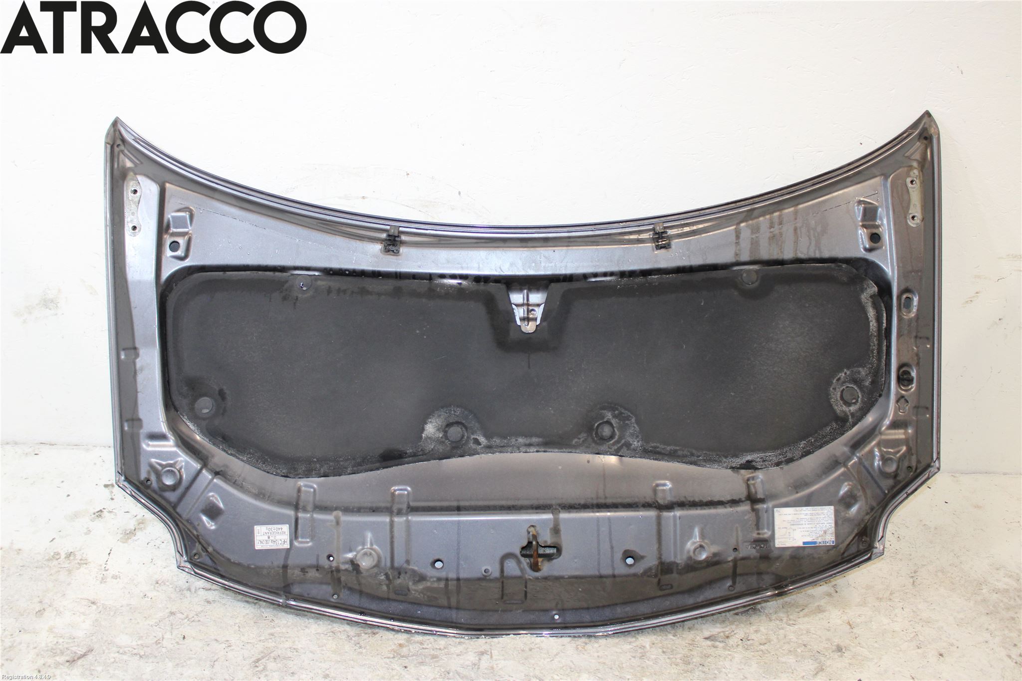 Toyota AURIS 07-09 Panser