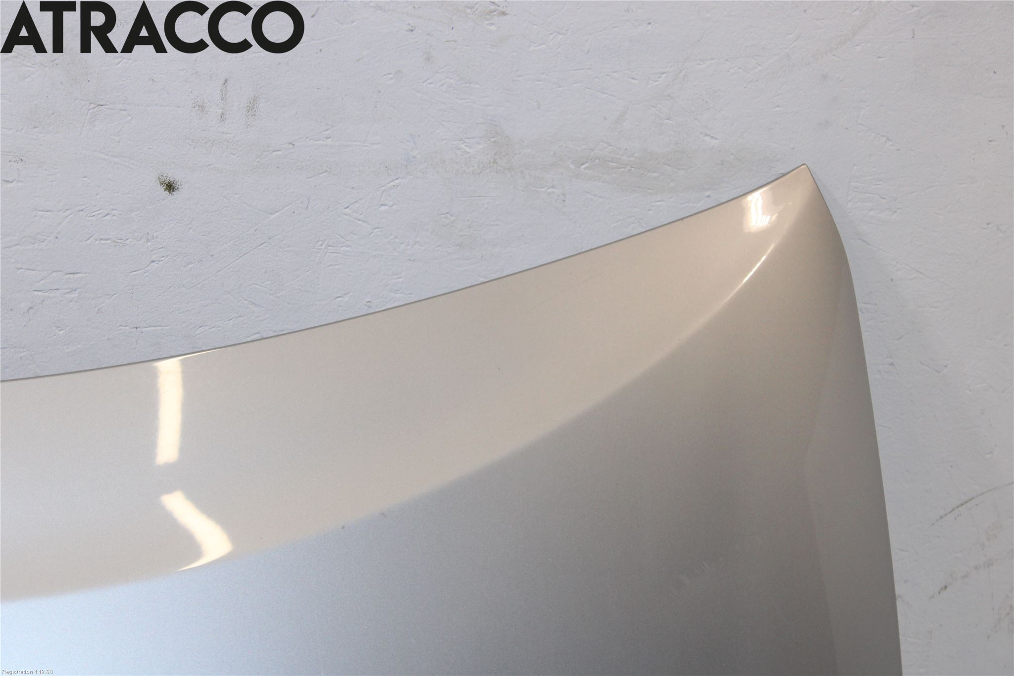 Toyota PRIUS ZVW30 09-20 Panser