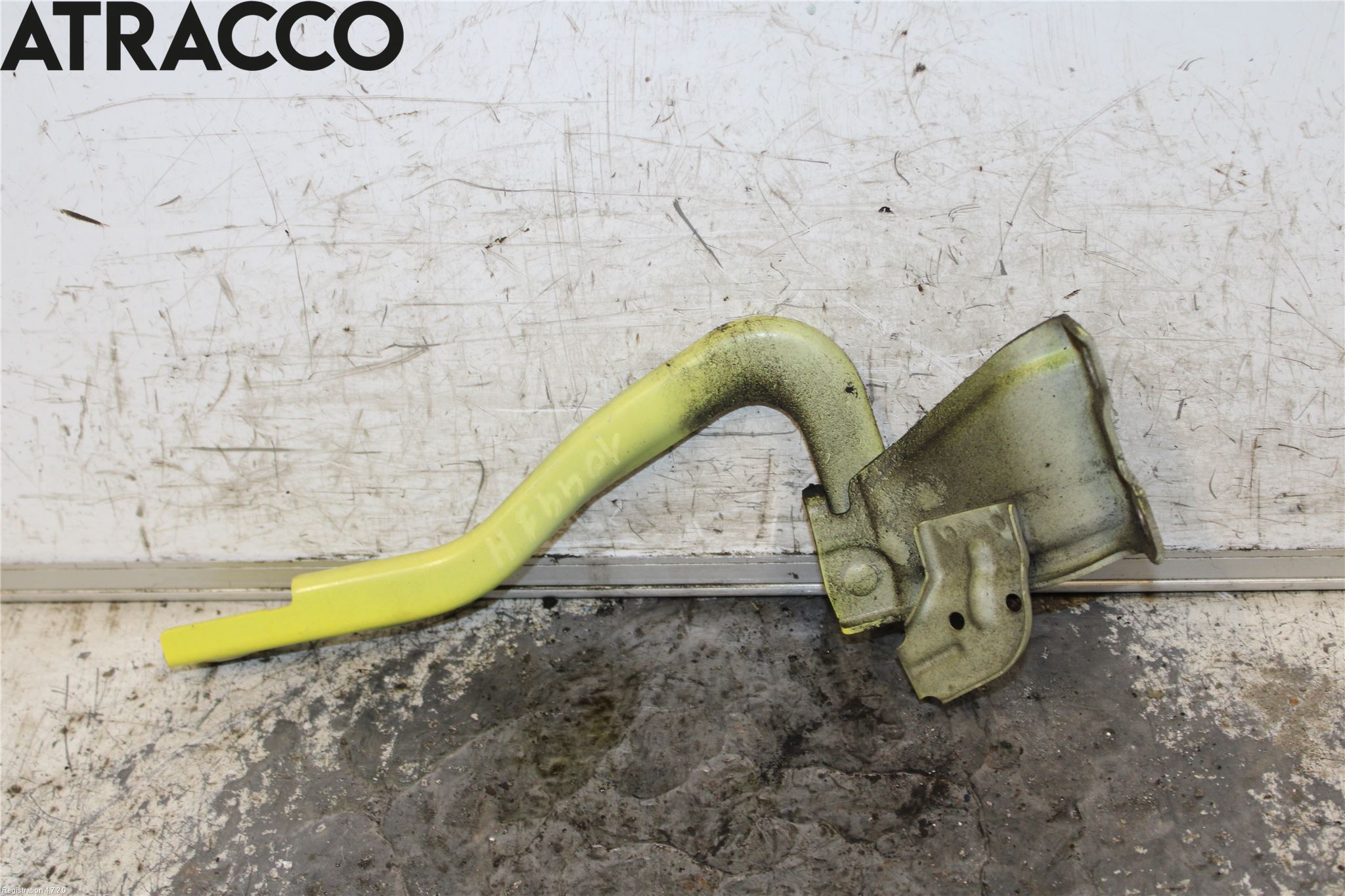 Suzuki SWIFT 17-24 Panser Hengsel - Hengsler