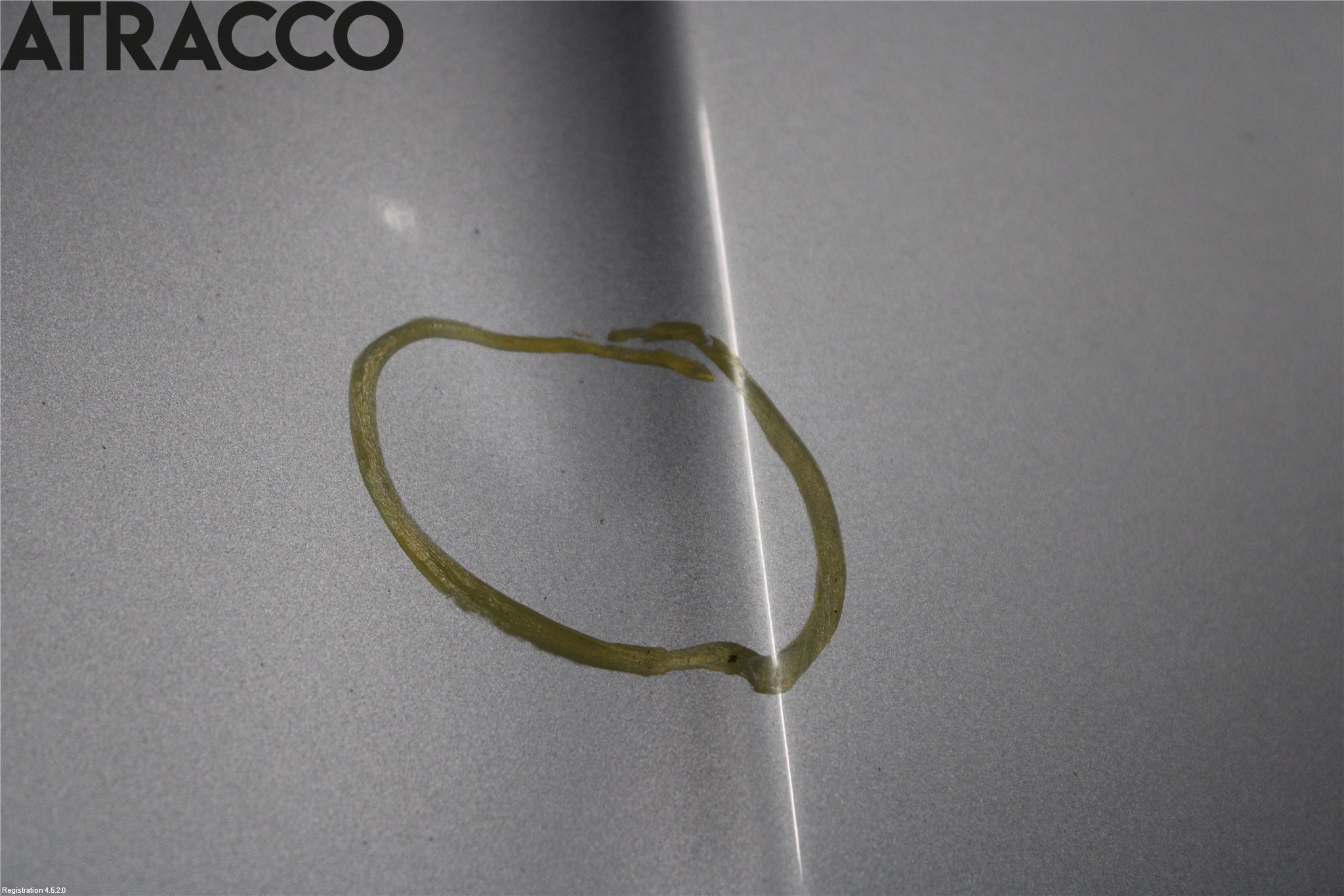 BMW Z3 E36/6    94-02 Panser