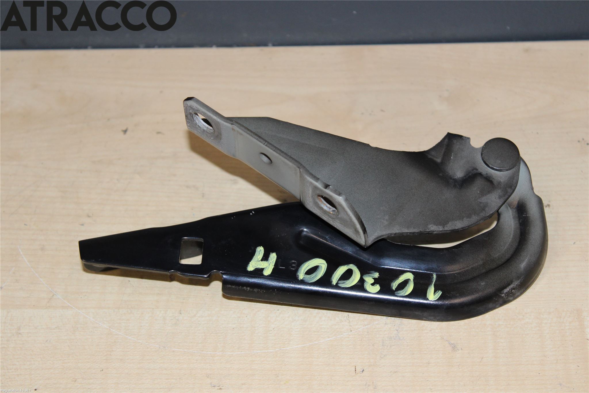 Mitsubishi OUTLANDER 13-21 Panser Hengsel - Hengsler