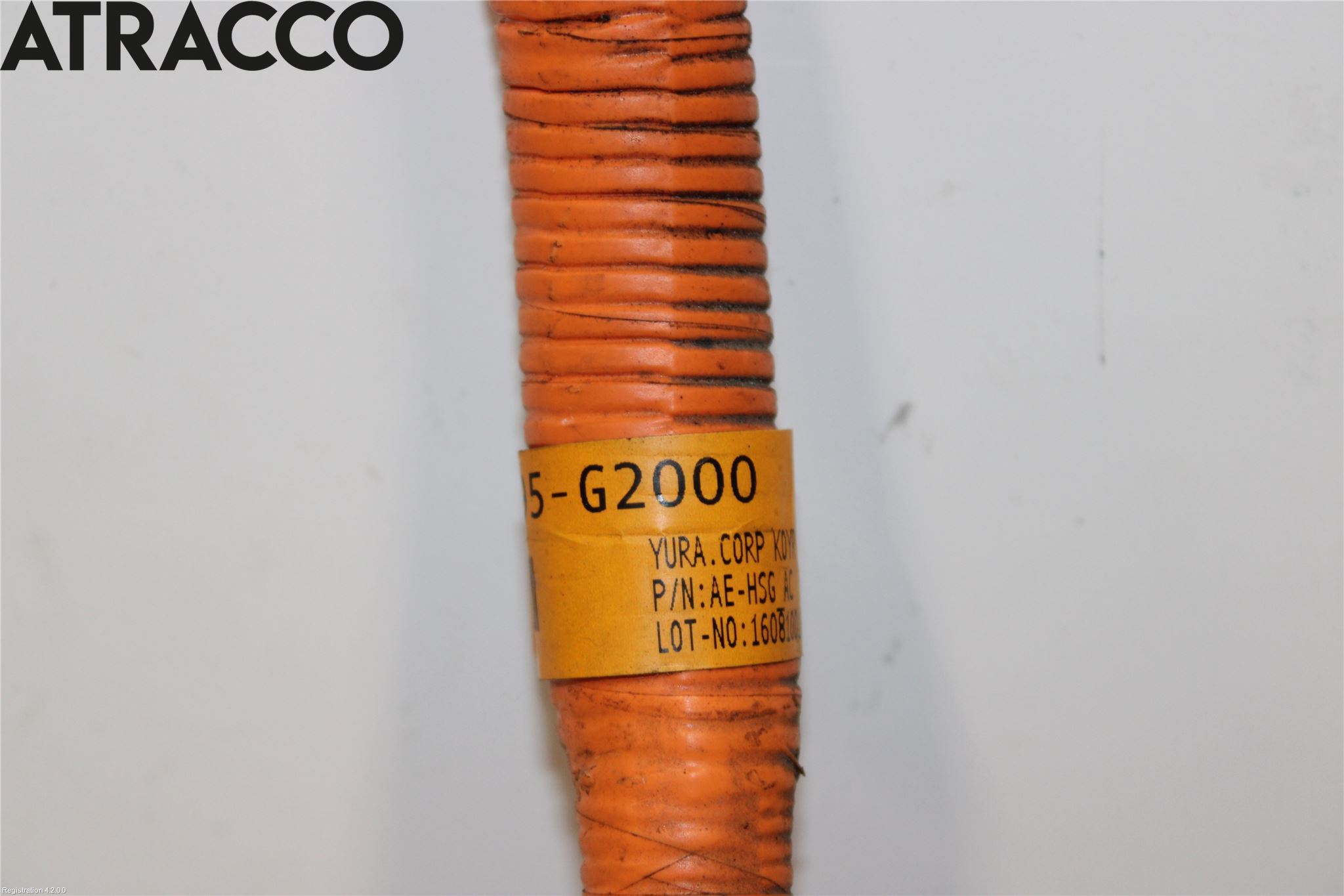 Hyundai IONIQ AE 17-22 Ledningsnett