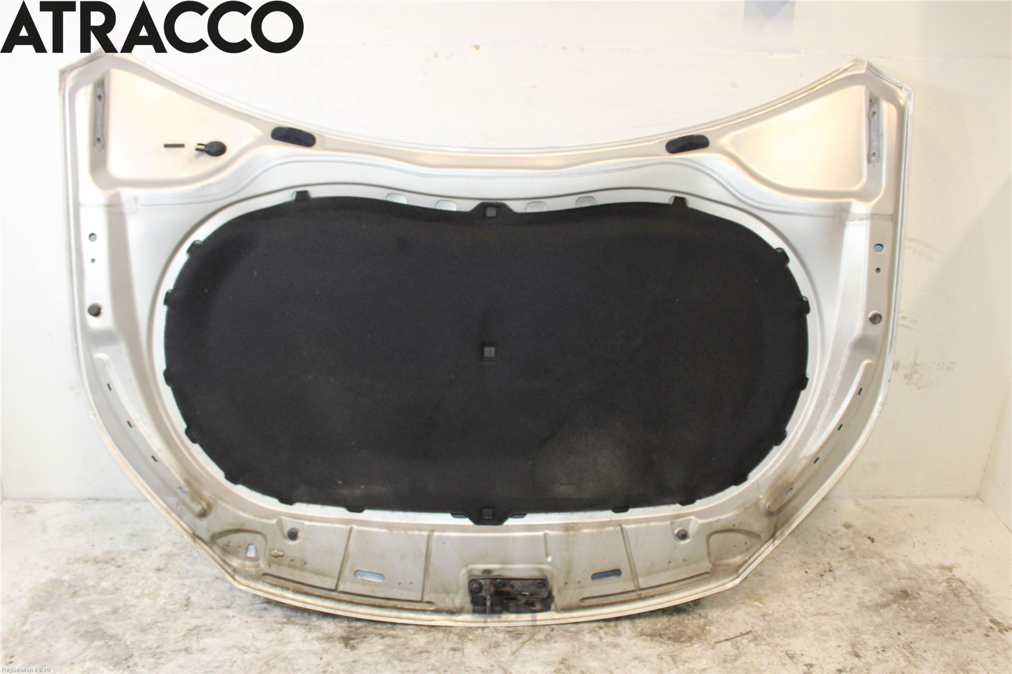 Volkswagen VW TIGUAN 07-16 Panser