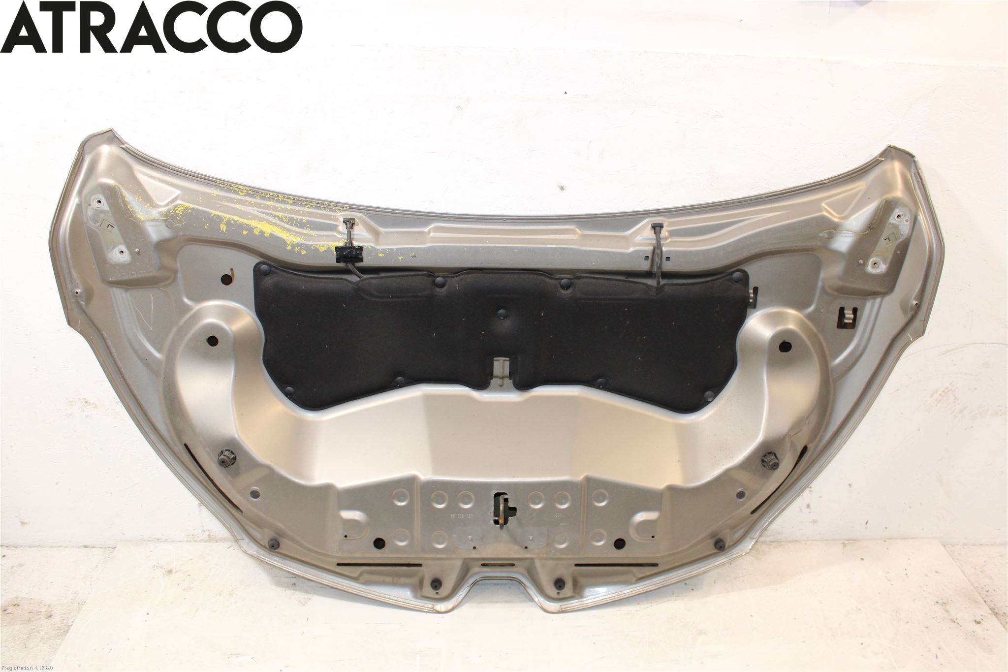 Renault CAPTUR 13-19 Panser