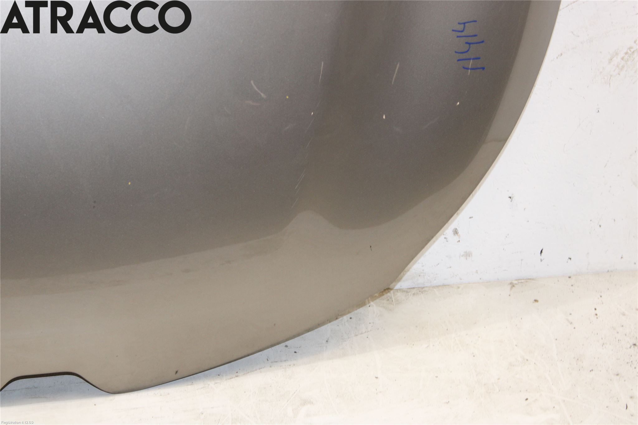 Renault CAPTUR 13-19 Panser