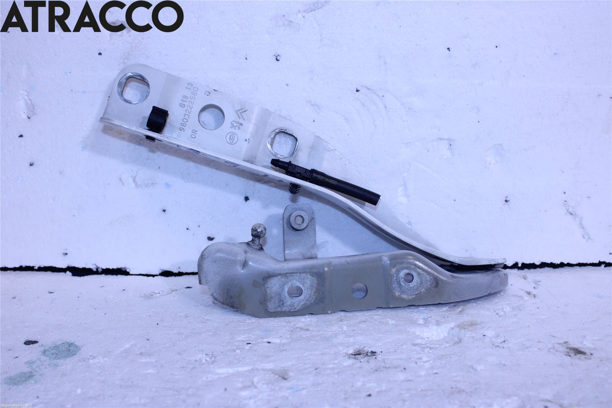 Citroen DS5 Panser Hengsel - Hengsler