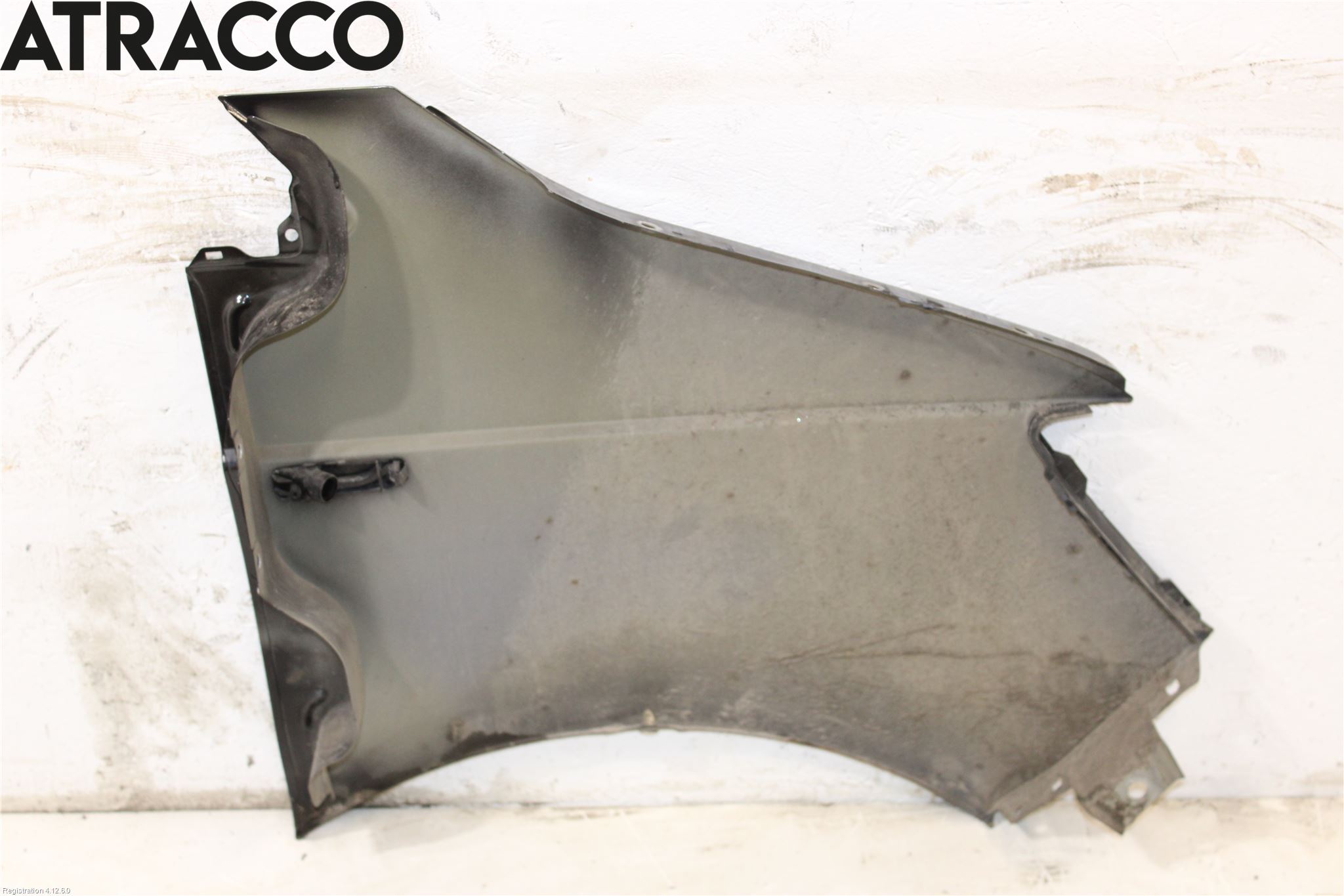 Volkswagen VW TRANSP/CARAVELLE (T6) 16-22 Skjerm Foran Venstre