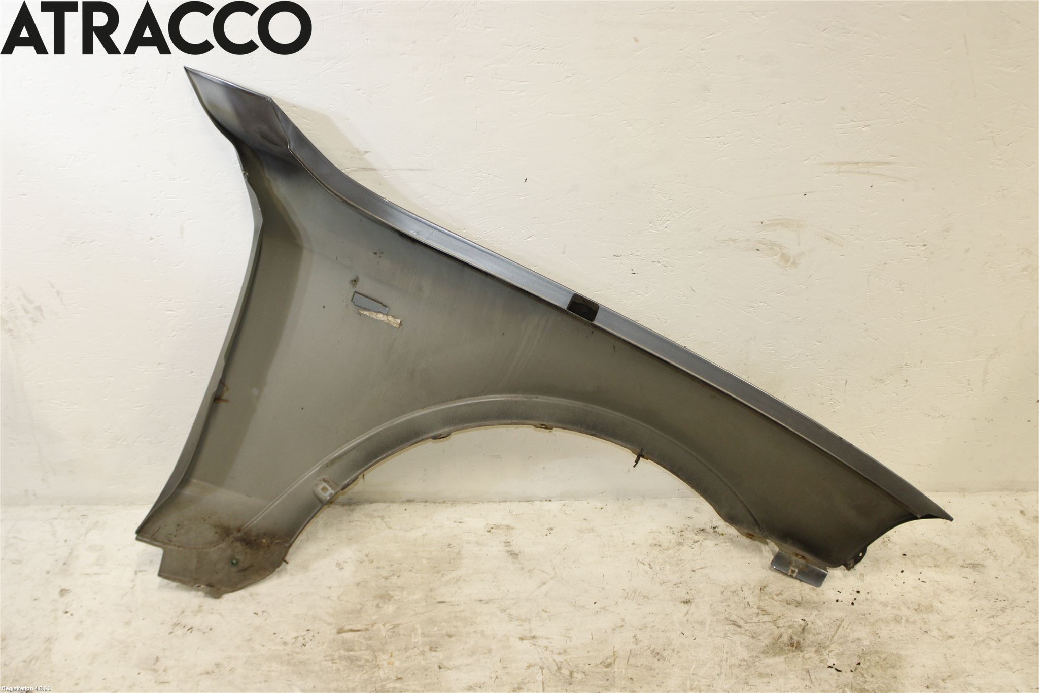 BMW X3 E83     03-10 Skjerm Foran Venstre