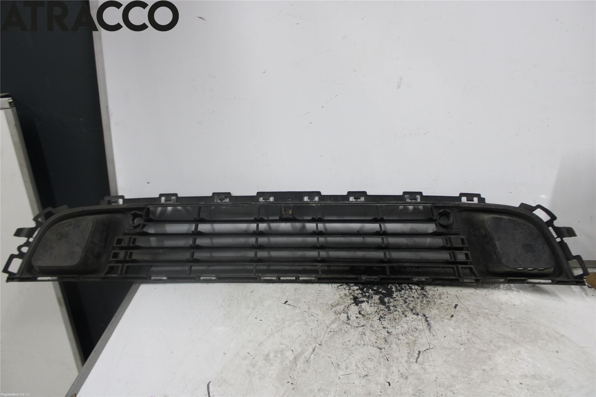 Citroen C5 08-17 Grill-Gitter