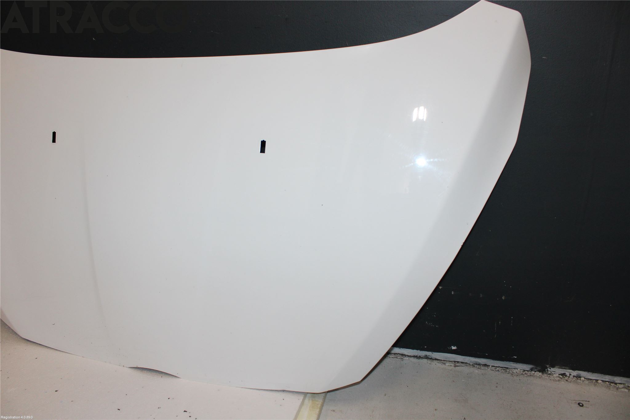 Ford B-MAX 12-17 Panser