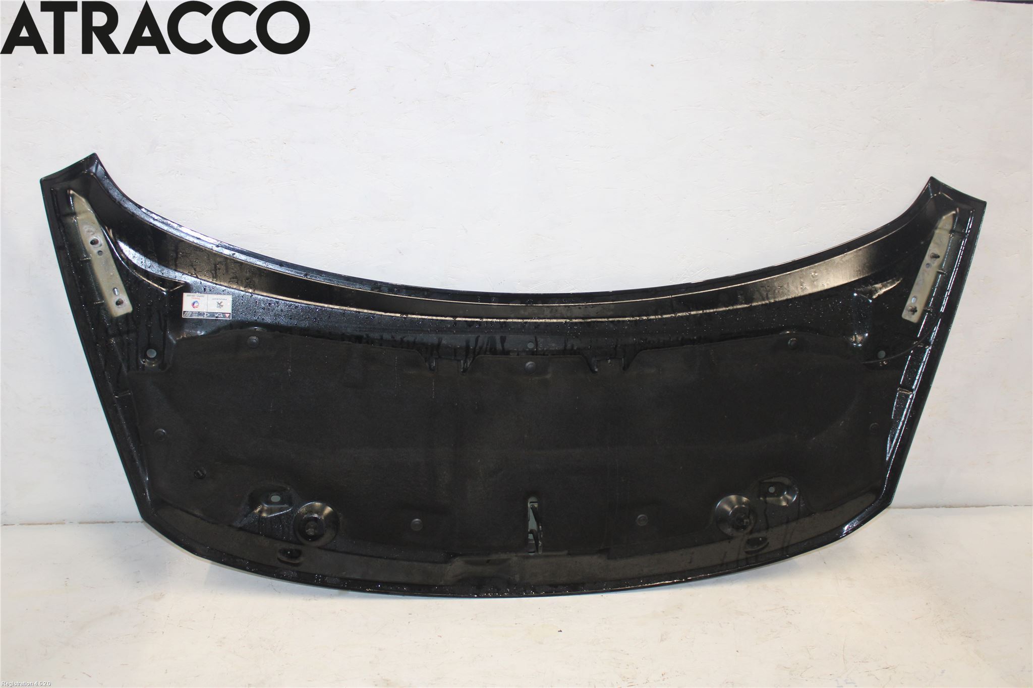 Peugeot 3008 09-16 Panser