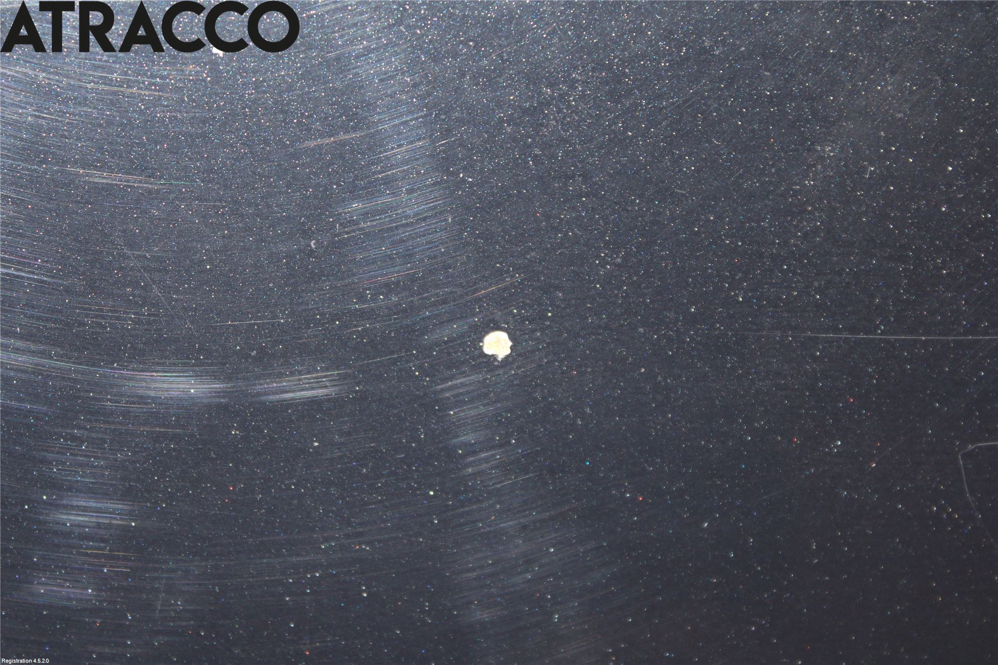 Ford TRANSIT/TOURNEO COURIER 13-23 Panser