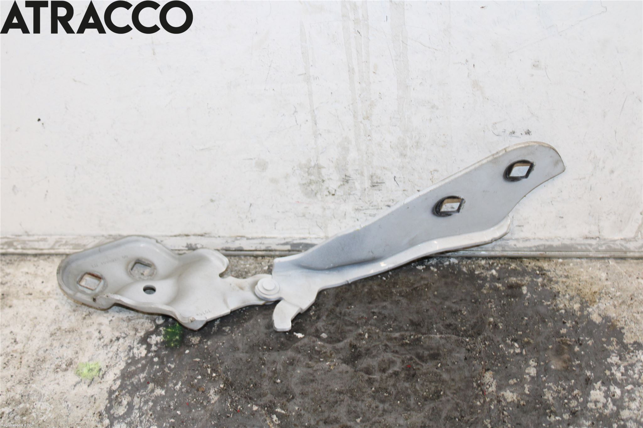 Tesla MODEL 3 17- Panser Hengsel - Hengsler