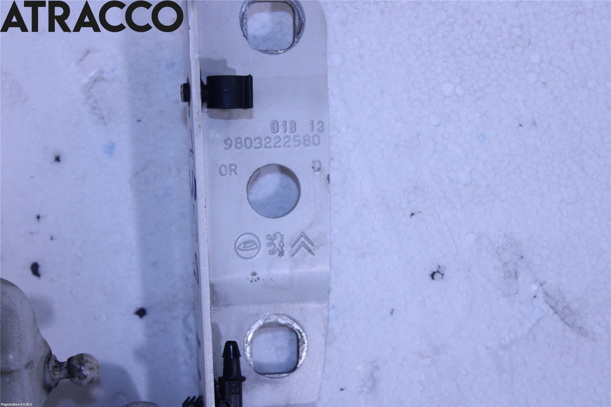 Citroen DS5 Panser Hengsel - Hengsler