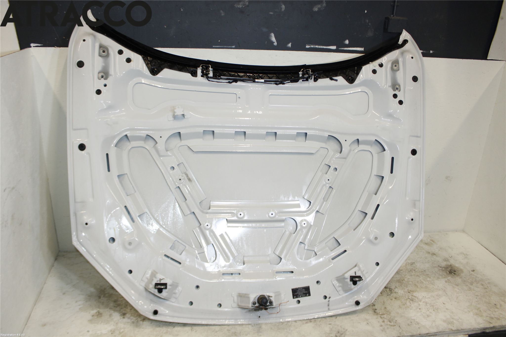 BMW X1 E84 10-15 Panser