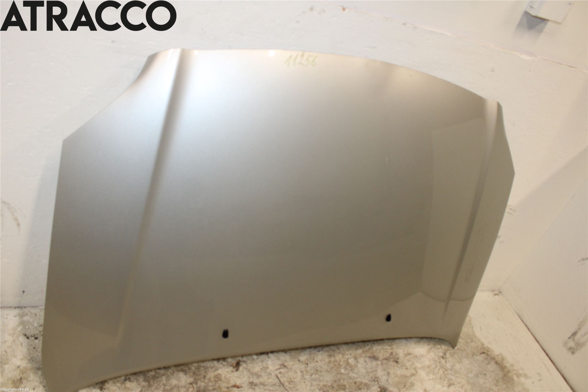 Toyota AVENSIS 03-06 Panser