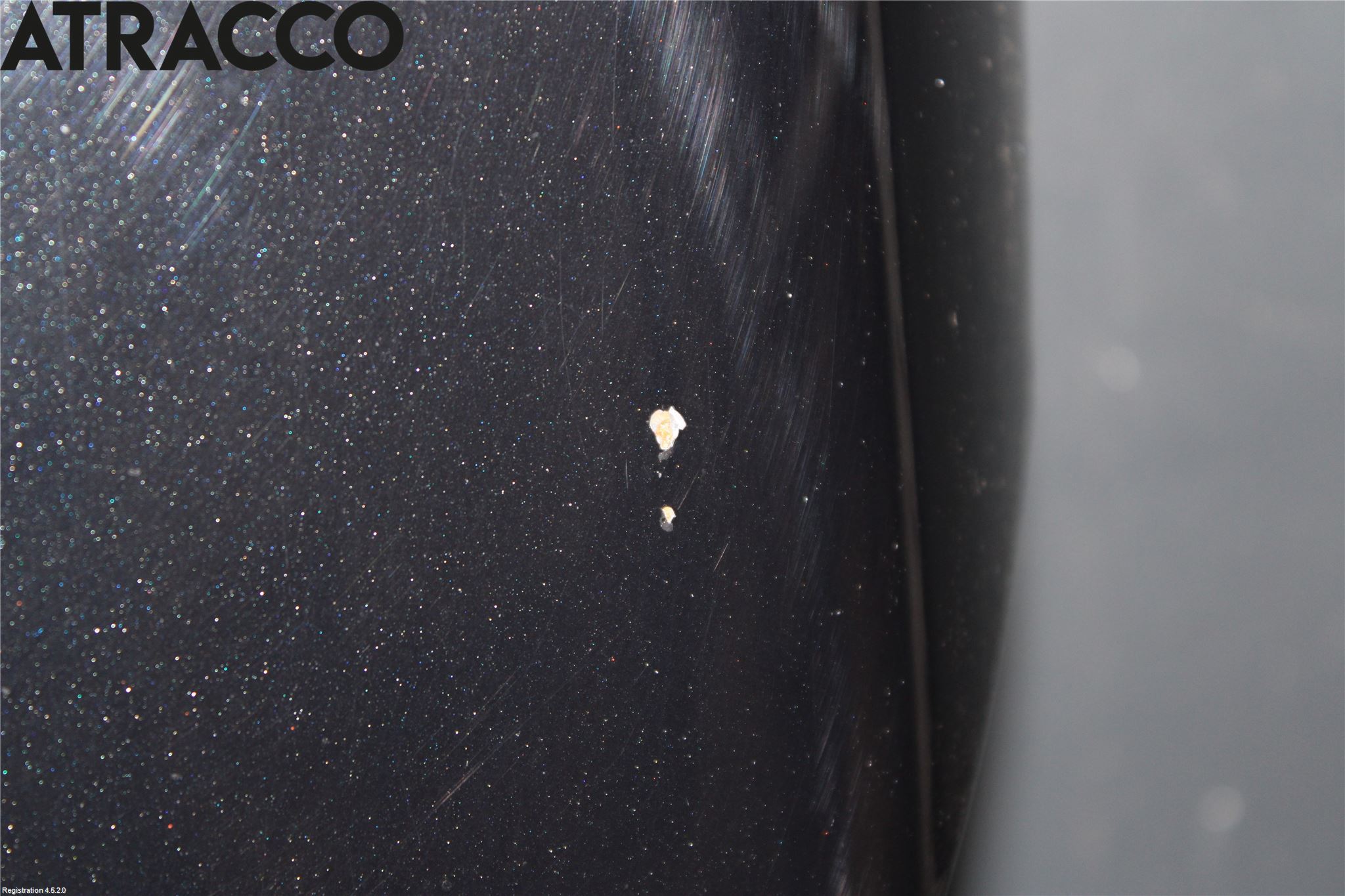 Ford TRANSIT/TOURNEO COURIER 13-23 Panser