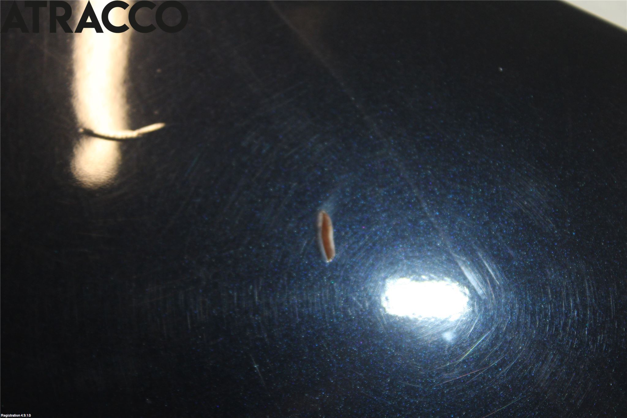 BMW X3 E83     03-10 Panser