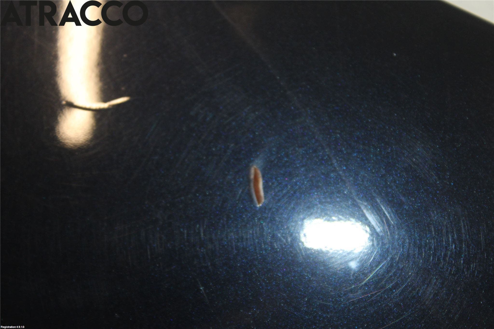 BMW X3 E83     03-10 Panser