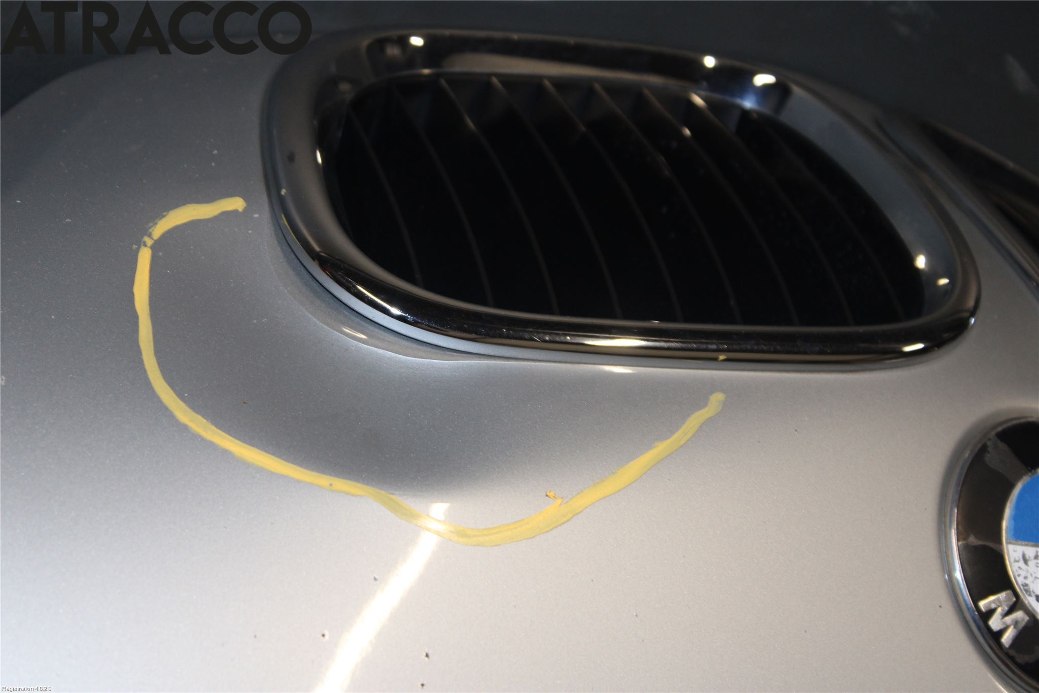 BMW Z3 E36/6    94-02 Panser