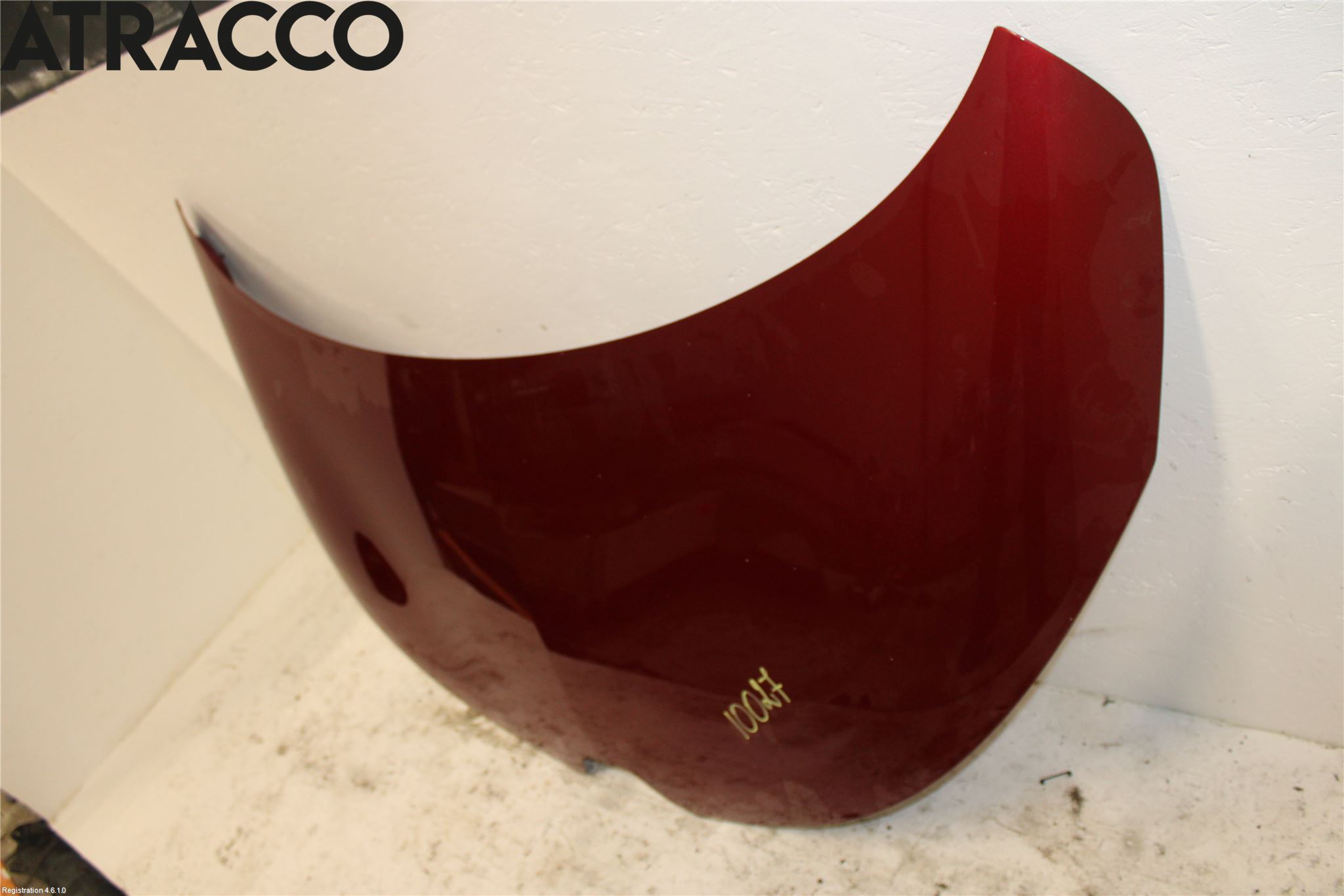 Renault ZOE/E-TECH 13- Panser