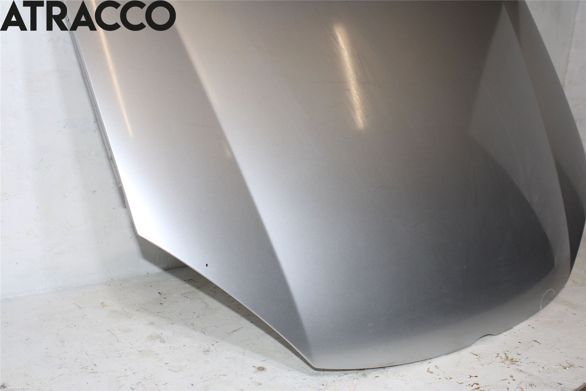 Volkswagen VW GOLF V 04-09 Panser