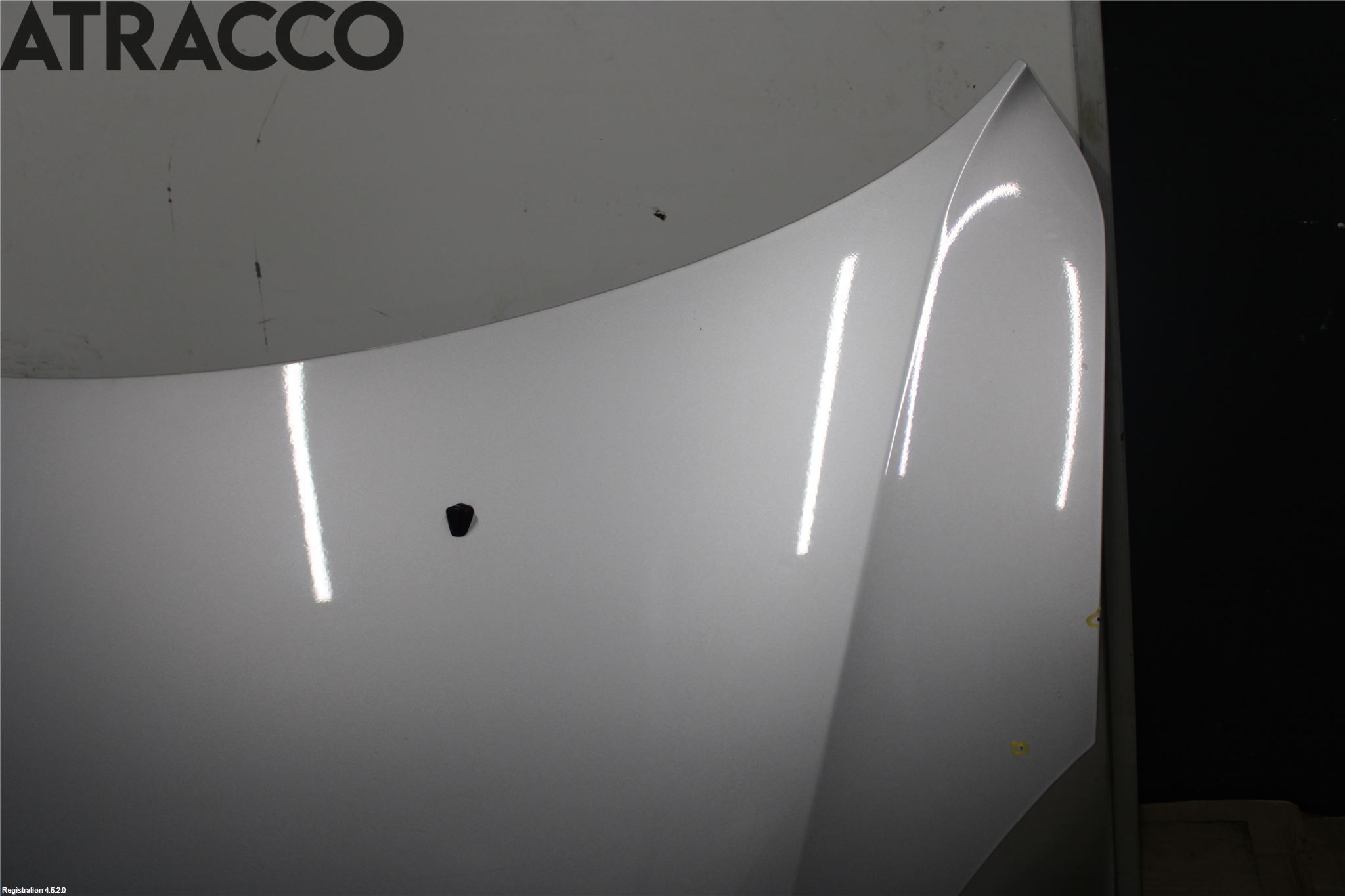 Suzuki SWIFT 05-10 Panser