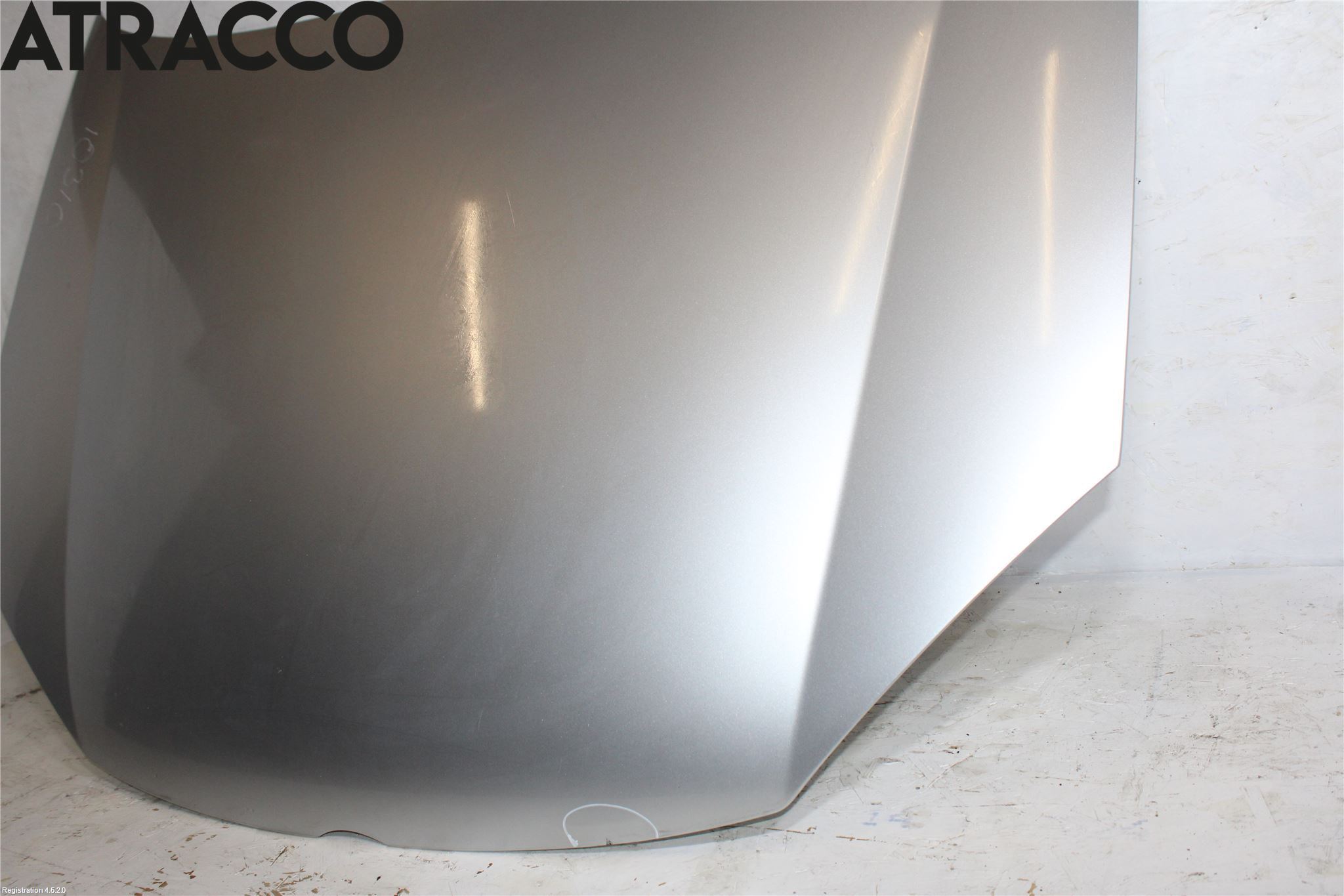 Volkswagen VW GOLF V 04-09 Panser