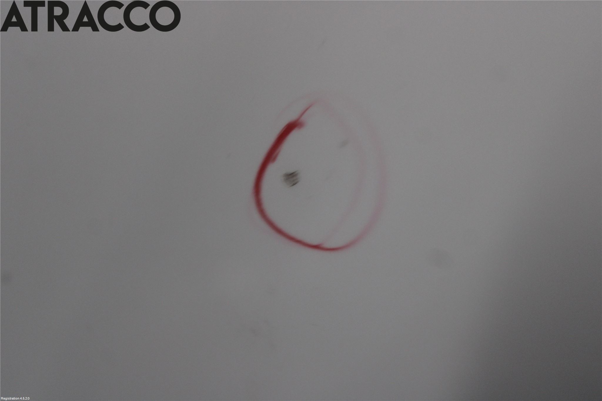 BMW 5 E60/61 Sed/Tou 02-10 Panser