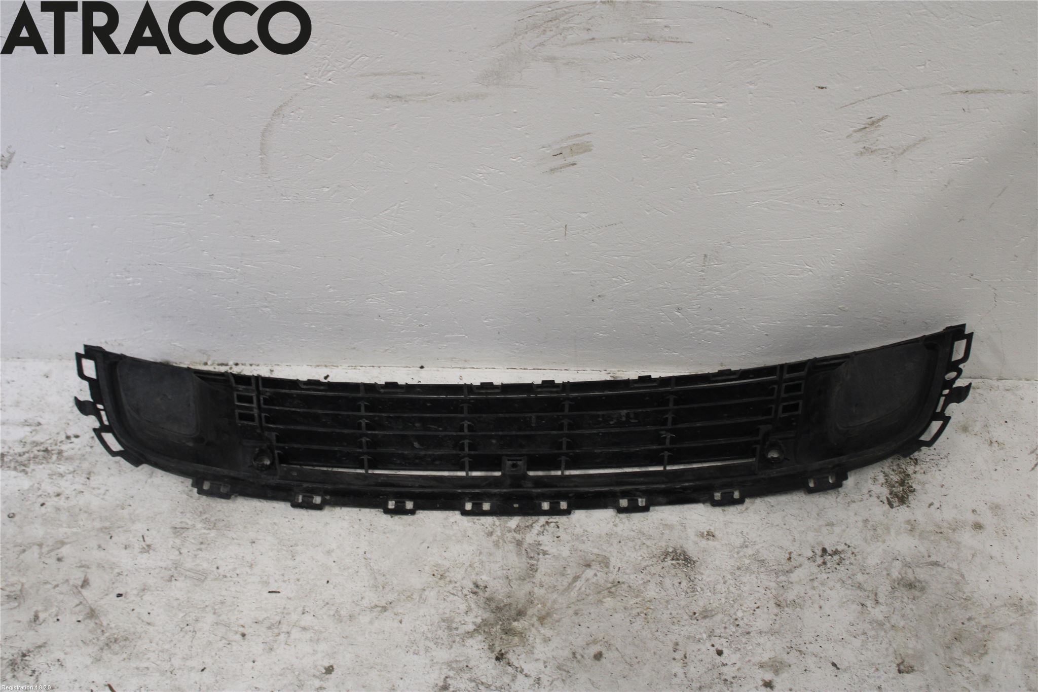 Citroen C5 08-17 Grill-Gitter