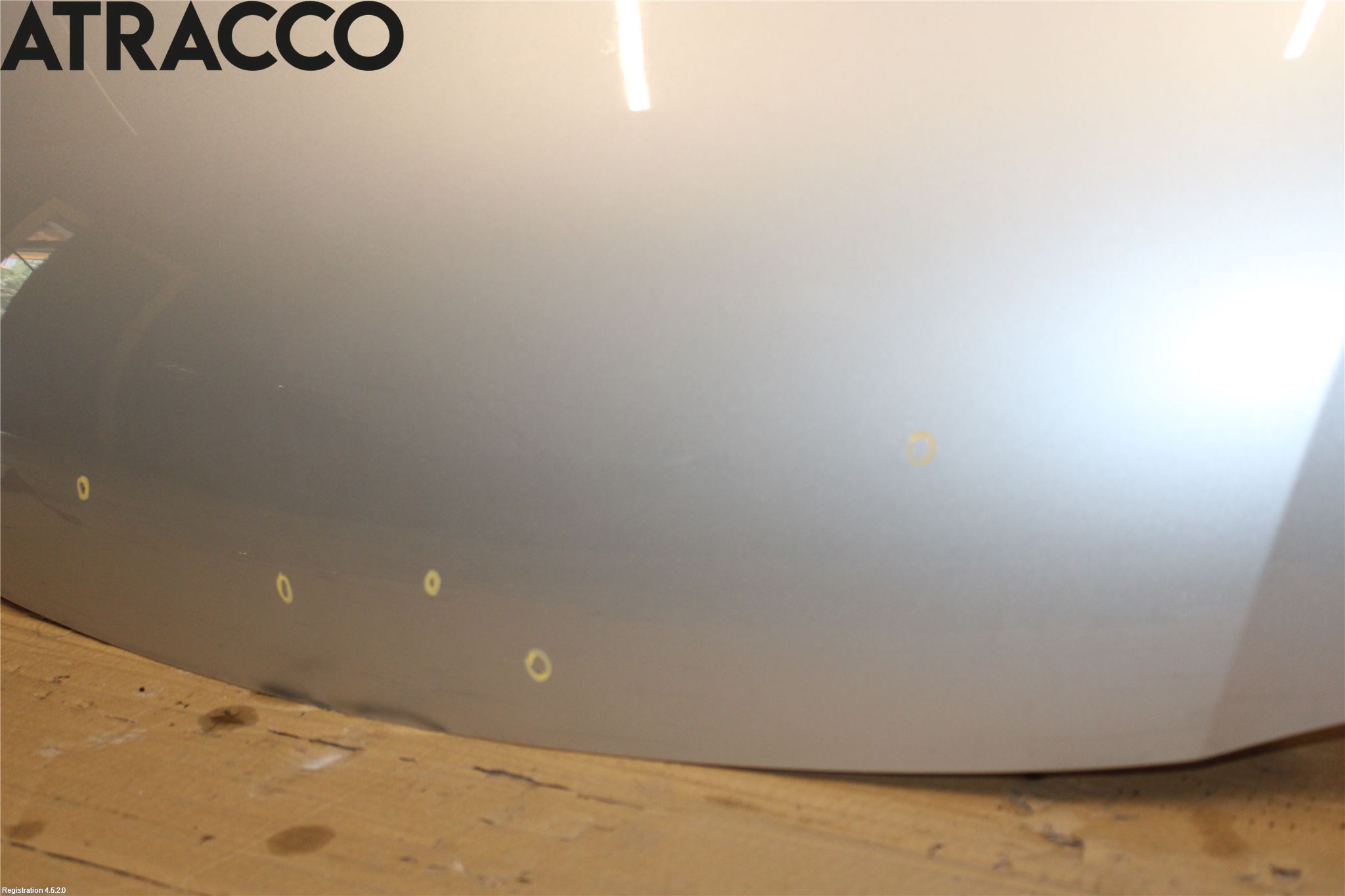 Suzuki SWIFT 05-10 Panser