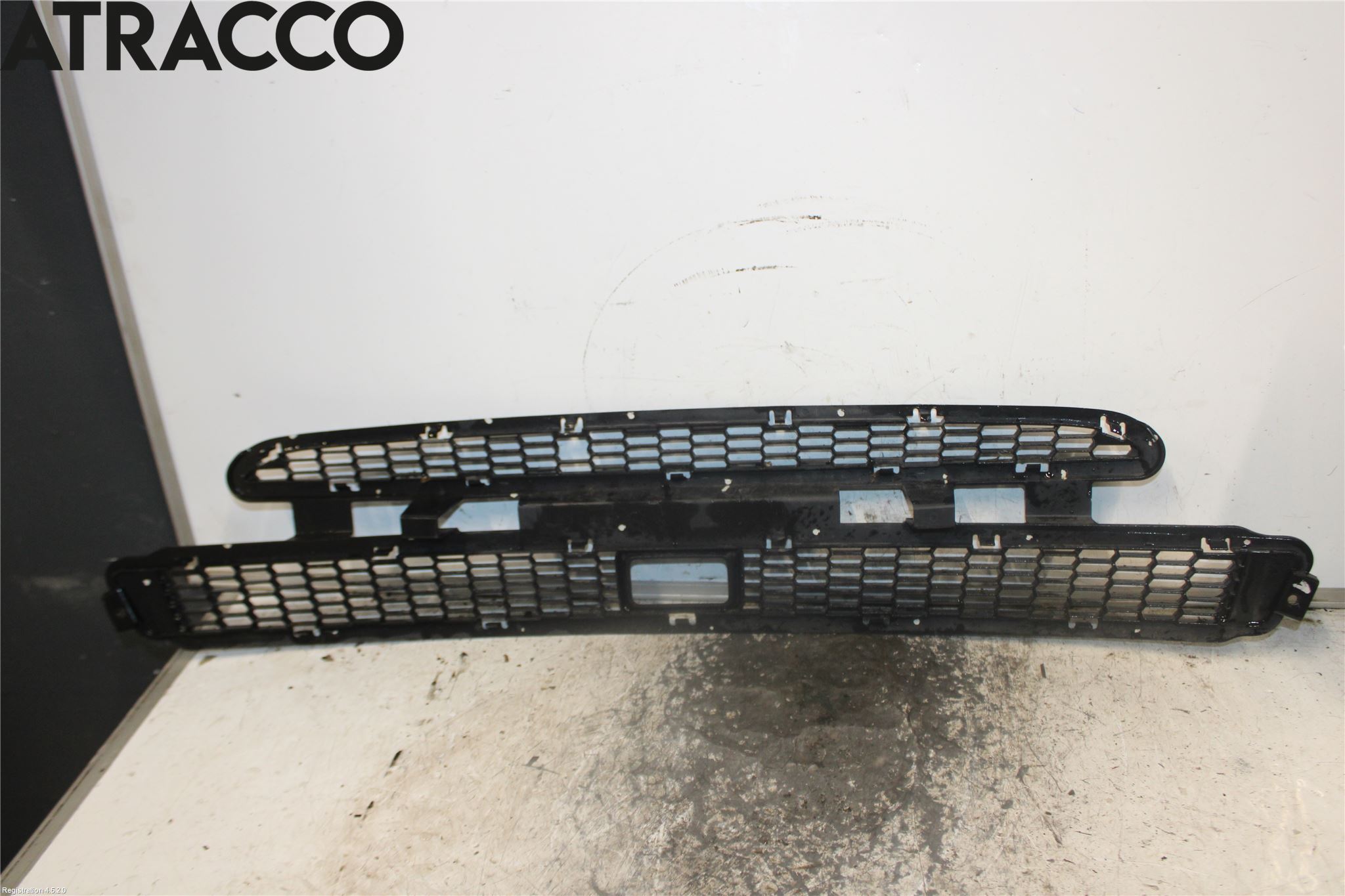 Tesla MODEL S 13- Grill-Gitter