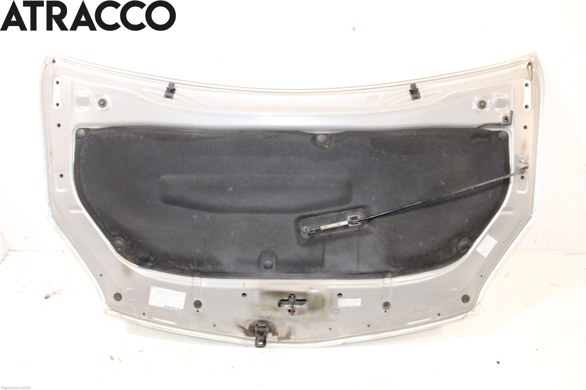 Toyota PRIUS ZVW30 09-20 Panser