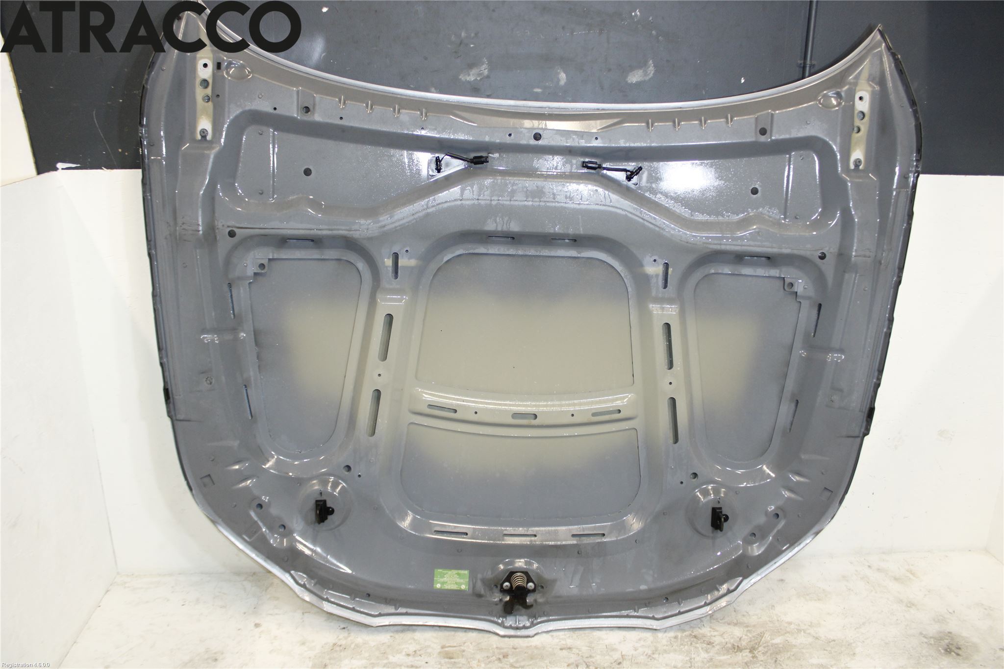 BMW 5 E60/61 Sed/Tou 02-10 Panser