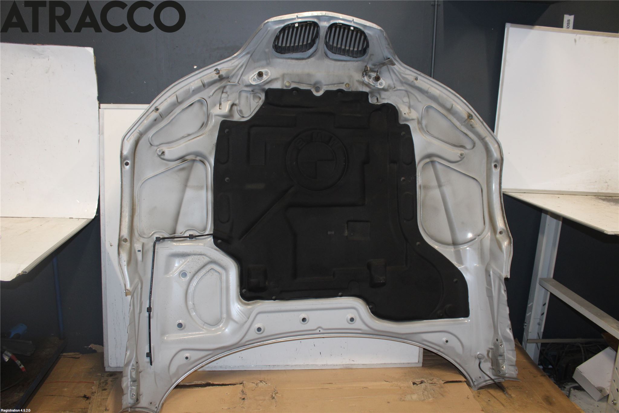 BMW Z3 E36/6    94-02 Panser