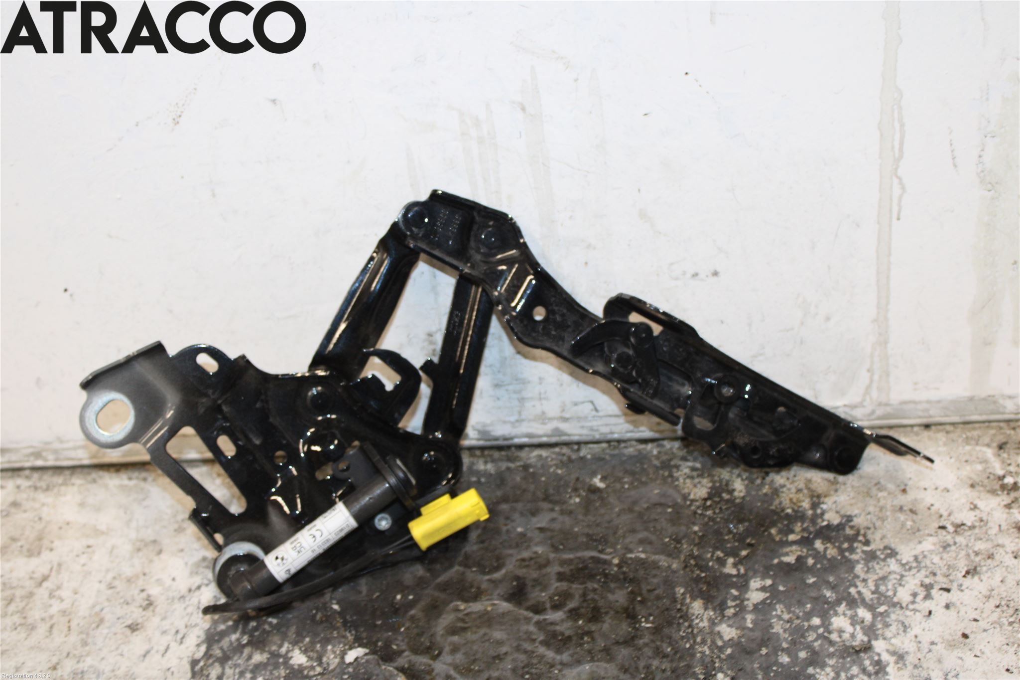 BMW X1/iX1 U11 23- Panser Hengsel - Hengsler