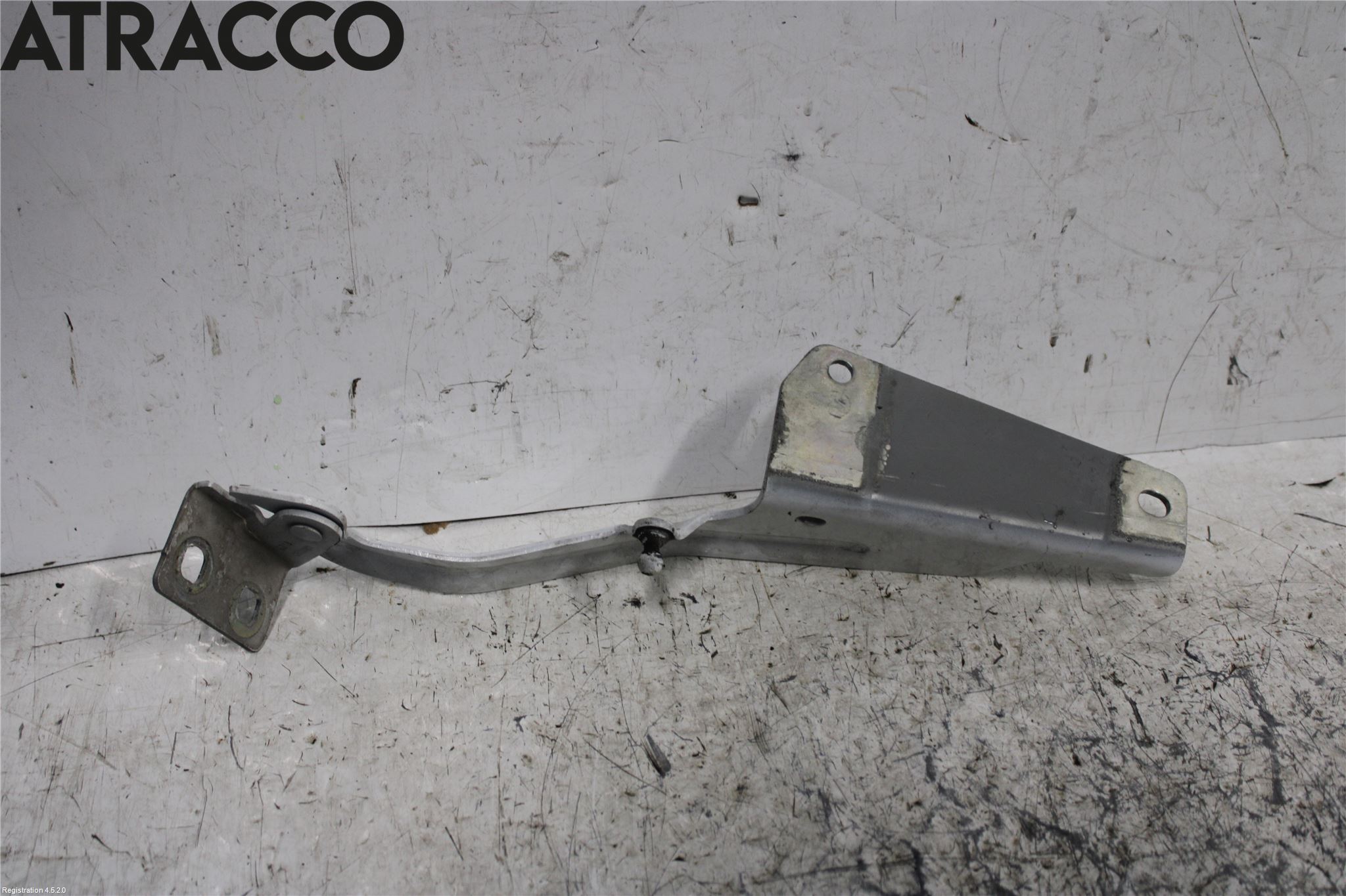 Renault KANGOO/E-TECH 21- Panser Hengsel - Hengsler