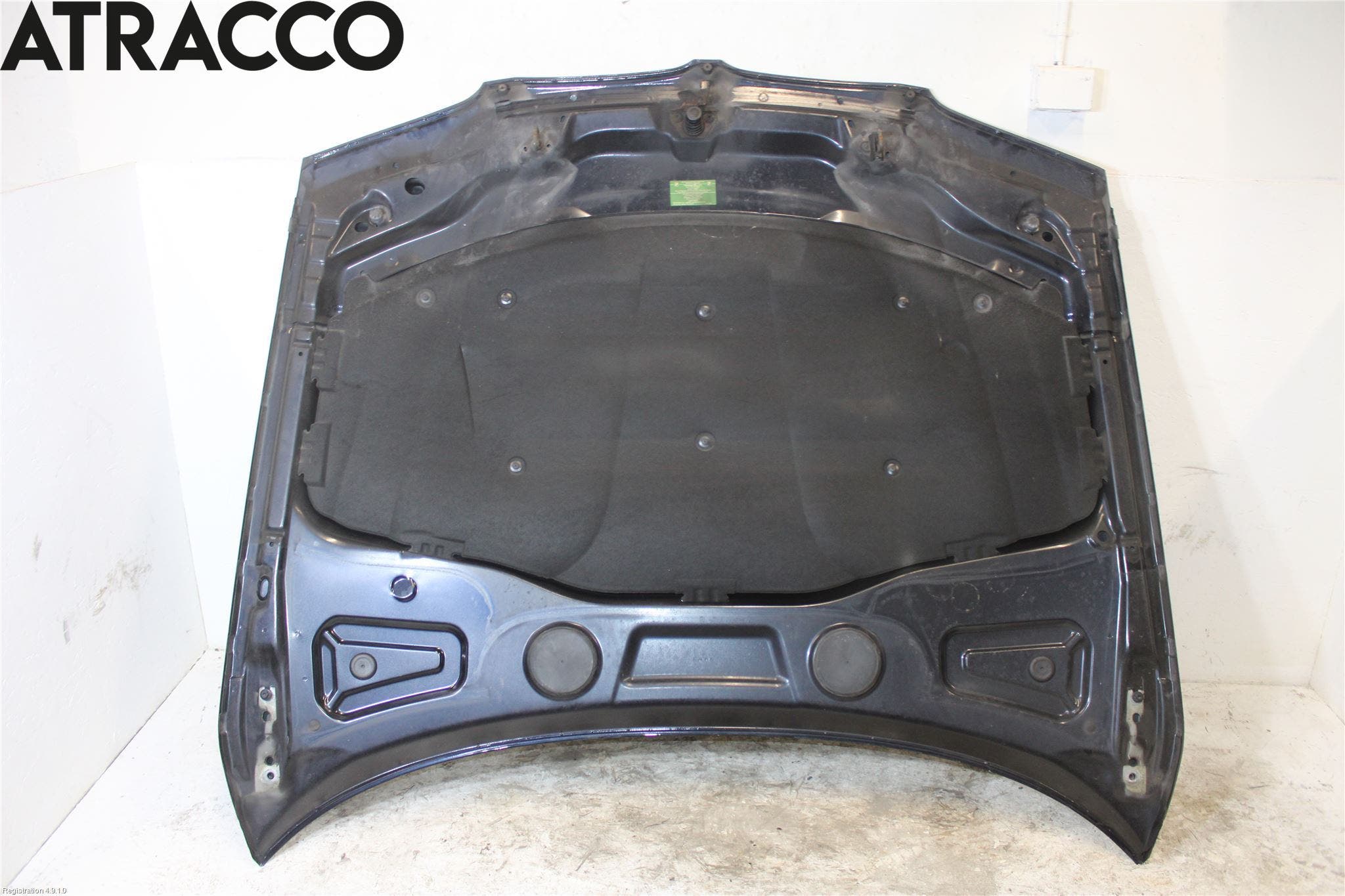 BMW X3 E83     03-10 Panser