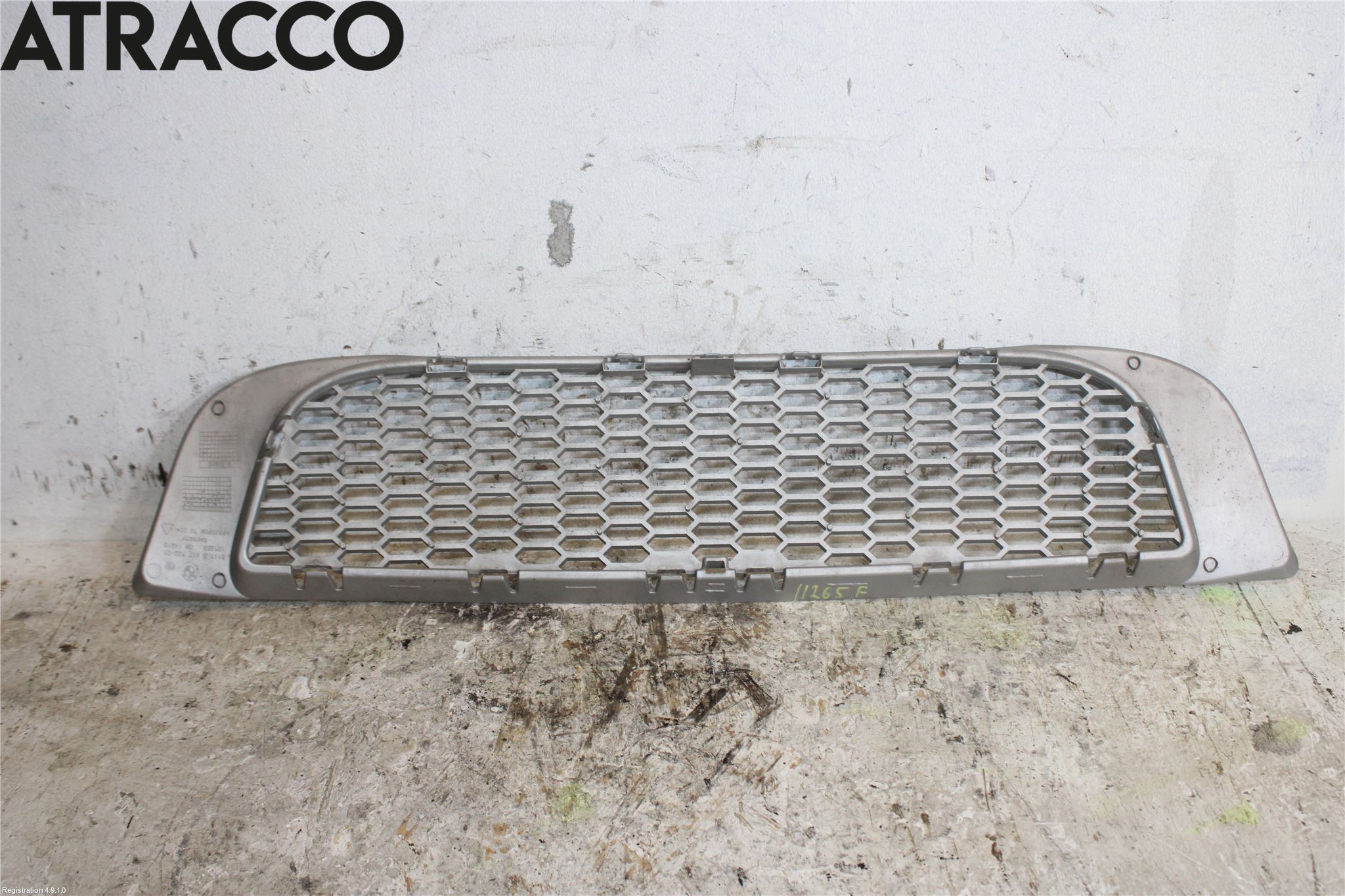BMW X3 E83     03-10 Grill-Gitter