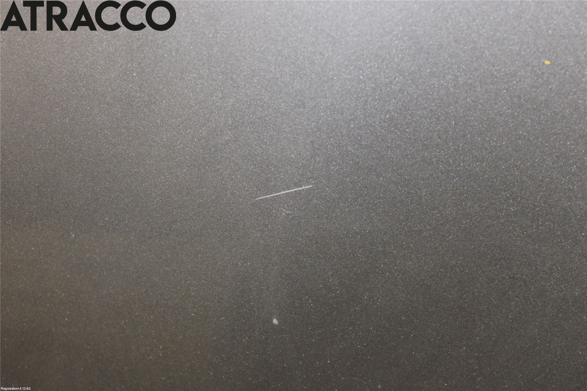 Renault CAPTUR 13-19 Panser