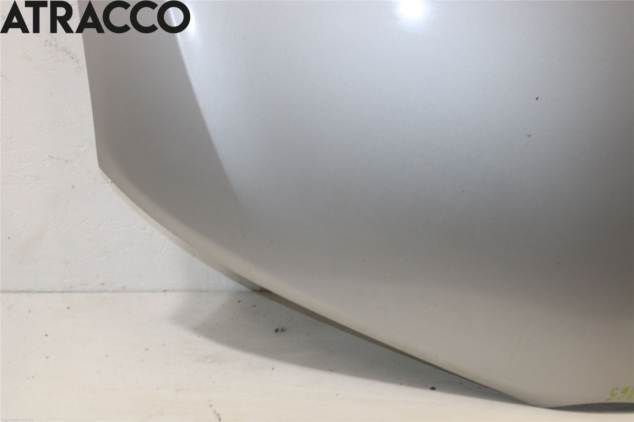 Toyota AURIS 13-19 Panser