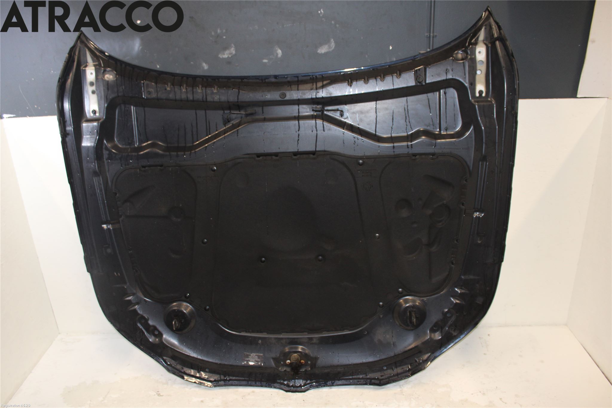 BMW 5 E60/61 Sed/Tou 02-10 Panser