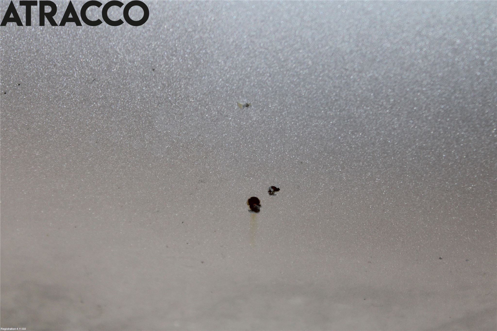 Volkswagen VW TRANSP/CARAVELLE (T5) 04-15 Panser